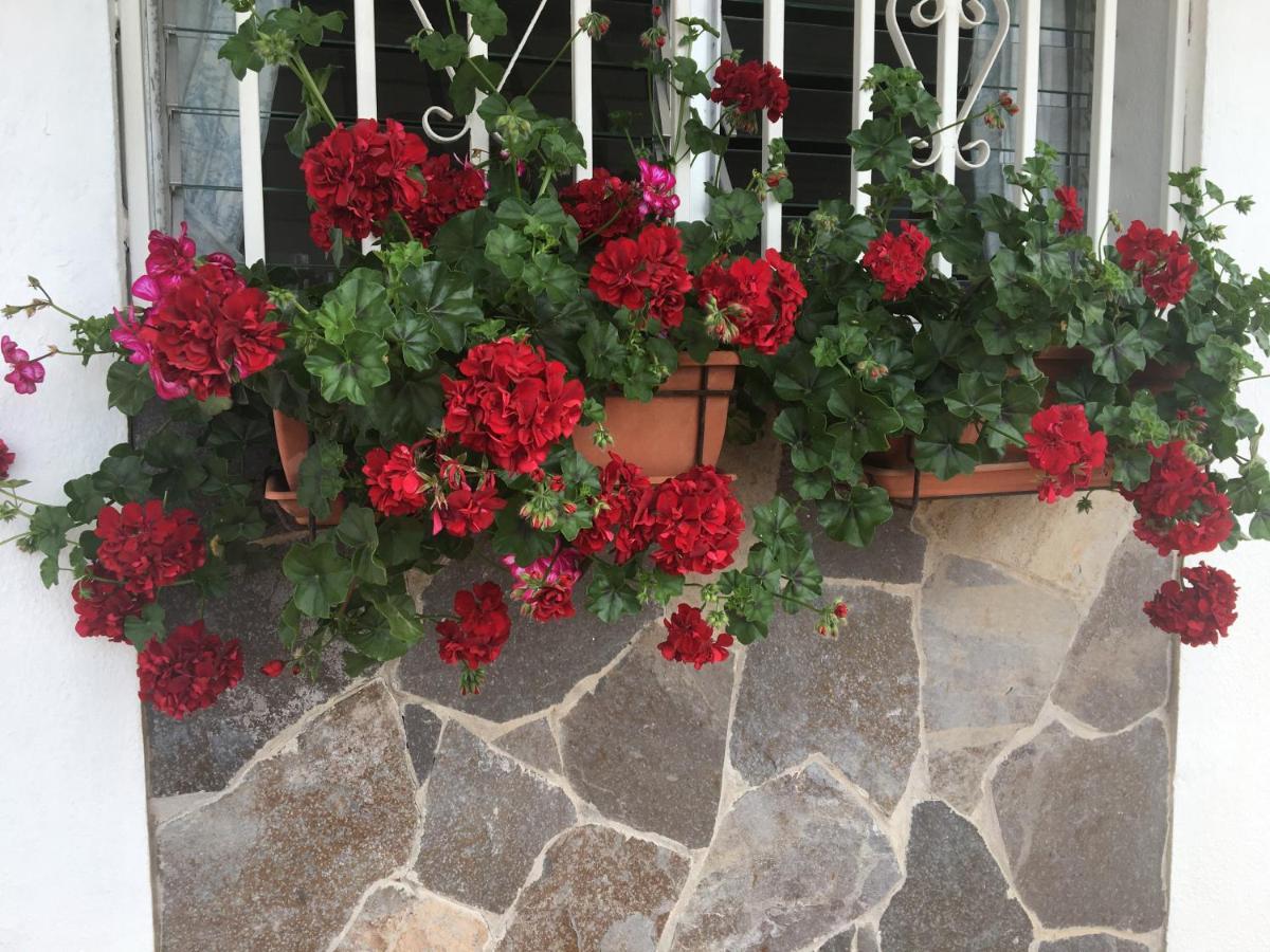 Detached Villa, Private Pool Only 10 Minutes Los Cristianos Valle de San Lorenzo ภายนอก รูปภาพ