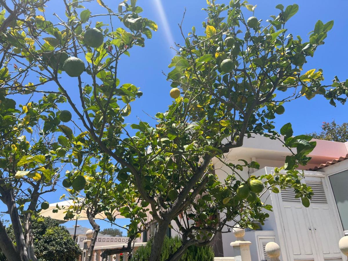 Detached Villa, Private Pool Only 10 Minutes Los Cristianos Valle de San Lorenzo ภายนอก รูปภาพ